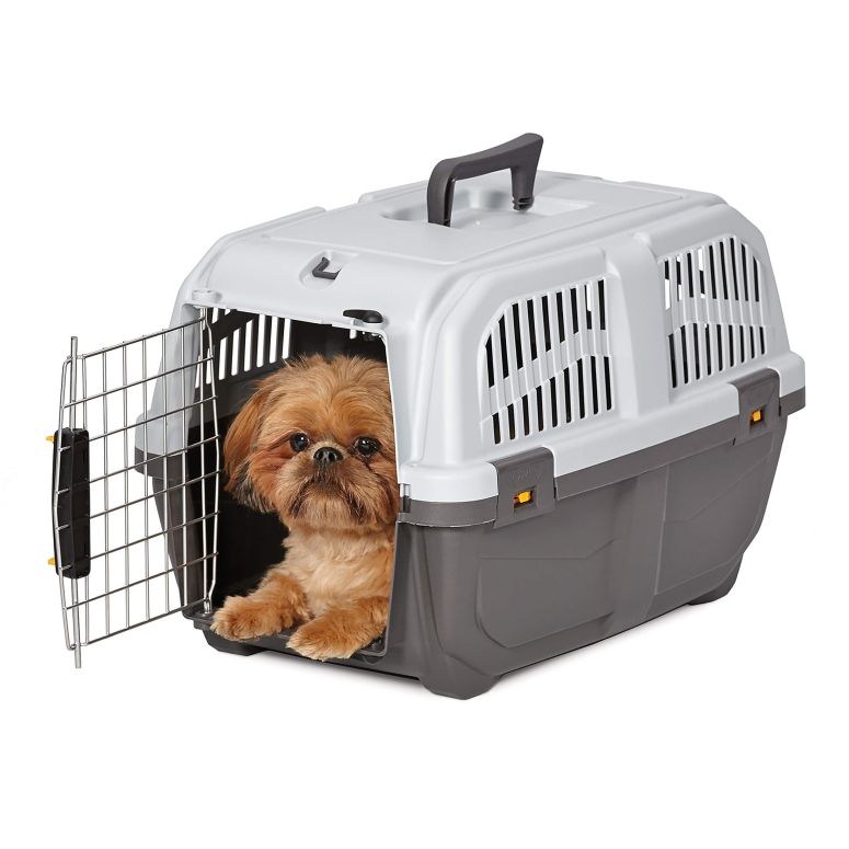 インコ 小鳥 バード トラベルキャリアー MidWest Homes for Pets Skudo Plastic Carrier, 22-Inch Ideal for XS Dog Breeds with an Adult Weight up to 12 Pounds 【並行輸入品】