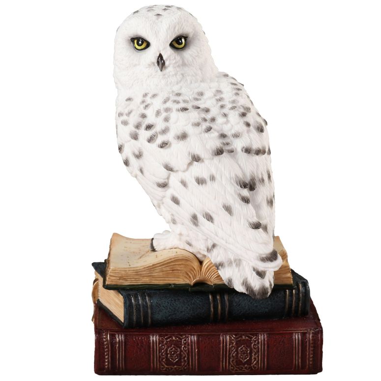 壁掛け時計 おしゃれ Veronese Design 6 7/8 Inch Snowy Owl Perching On Stack of Books Resin Sculpture Hand Painted Figurine Animal Home Decor Statue 【並行輸入品】