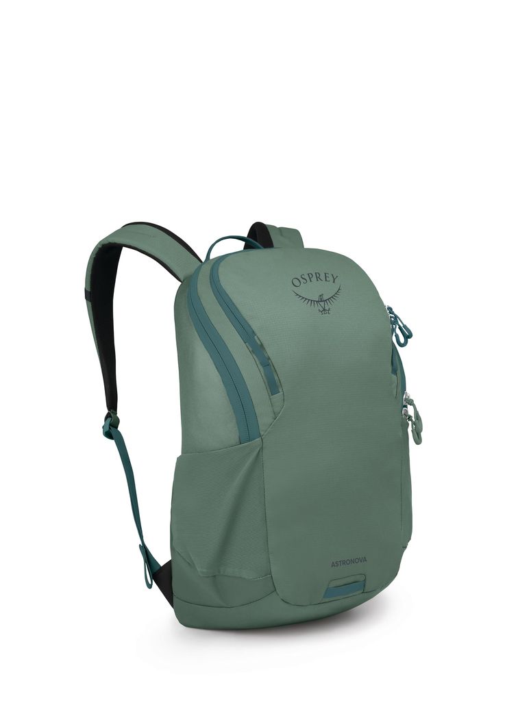 インコ 小鳥 バード トラベルキャリアー Osprey Astronova Campus Laptop Backpack, Pine Leaf Green 【並行輸入品】