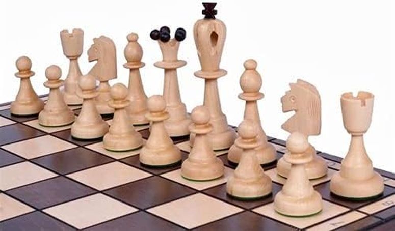 チェスセット he Archon - HandcCrafted Wooden Chess Set with Chess Pieces, Board & Storage, King 4 inches Tall, 16.5 inch Chess Board. Luxury, Unique, Great Gift Idea 【並行輸入品】|MJ-MARKET