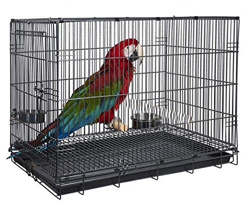 インコ 小鳥 バード トラベルキャリアー Large Durable Metal Travel or Veterinary Easy Collapsable Parrot Bird Carrier Beaks Proof Carrier Cage Easy Clean Pull Out Tray Stainless Steel Feeder Bowls Natural Wooden Perch 【並行輸入品】 28,080円