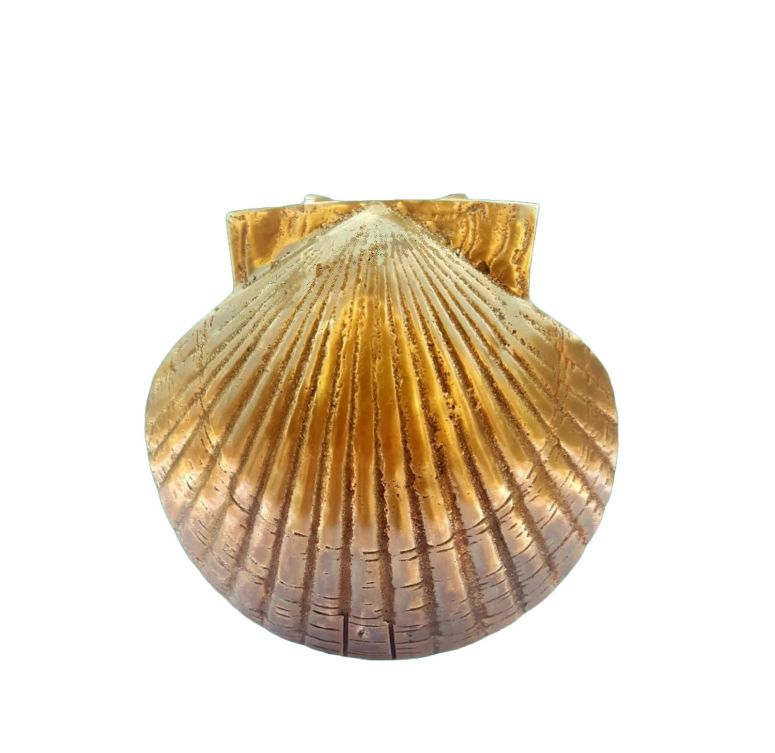 ドアノッカー Brass Scallop Shell Door Knocker for Front Door, Nautical Solid Brass Door Knocker for Home & Hotel Front Door, Coastal Sea Inspired Hardware for Beach House & Marine Decor, Easy to Install on Door 【並行輸入品】|MJ-MARKET