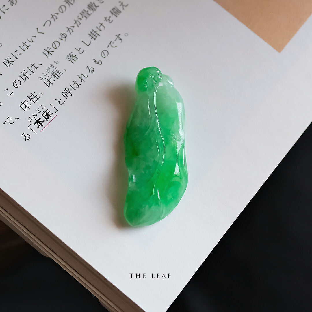 見せびらかす会
