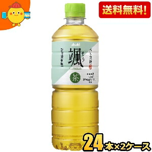 【送料無料】【600mlサイズ】アサヒ 颯 600mlペットボトル 48本(24本×2ケース) そう 緑茶 お茶 ※北海道800円・東北400円の別途送料加算 2504 4,690円