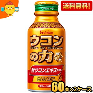 【送料無料120本】ハウスウェルネス ウコンの力 ウコンエキスドリンク 100mlボトル缶 120本(60本×2ケース) ※北海道800円・東北400円の別途送料加算