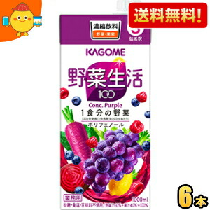 【送料無料】カゴメ 野菜生活100 パープル 3倍濃縮タイプ 1000ml紙パック 6本入 野菜ジュース 【3倍濃縮で1杯当たり60ml使用時、なんと1本当たり約16杯相当。6本入りなので96杯相当に★】 ※北海道800円・東北400円の別途送料加算