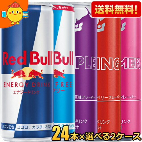 ★ 新品2ケース48缶　レッドブルサマーエディション レッドブル・エナジードリンク サマーエディション 250ml 1