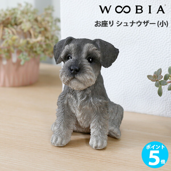 楽天市場】シュナウザー わんちゃん ミニ POCO可愛い置物 犬の置物