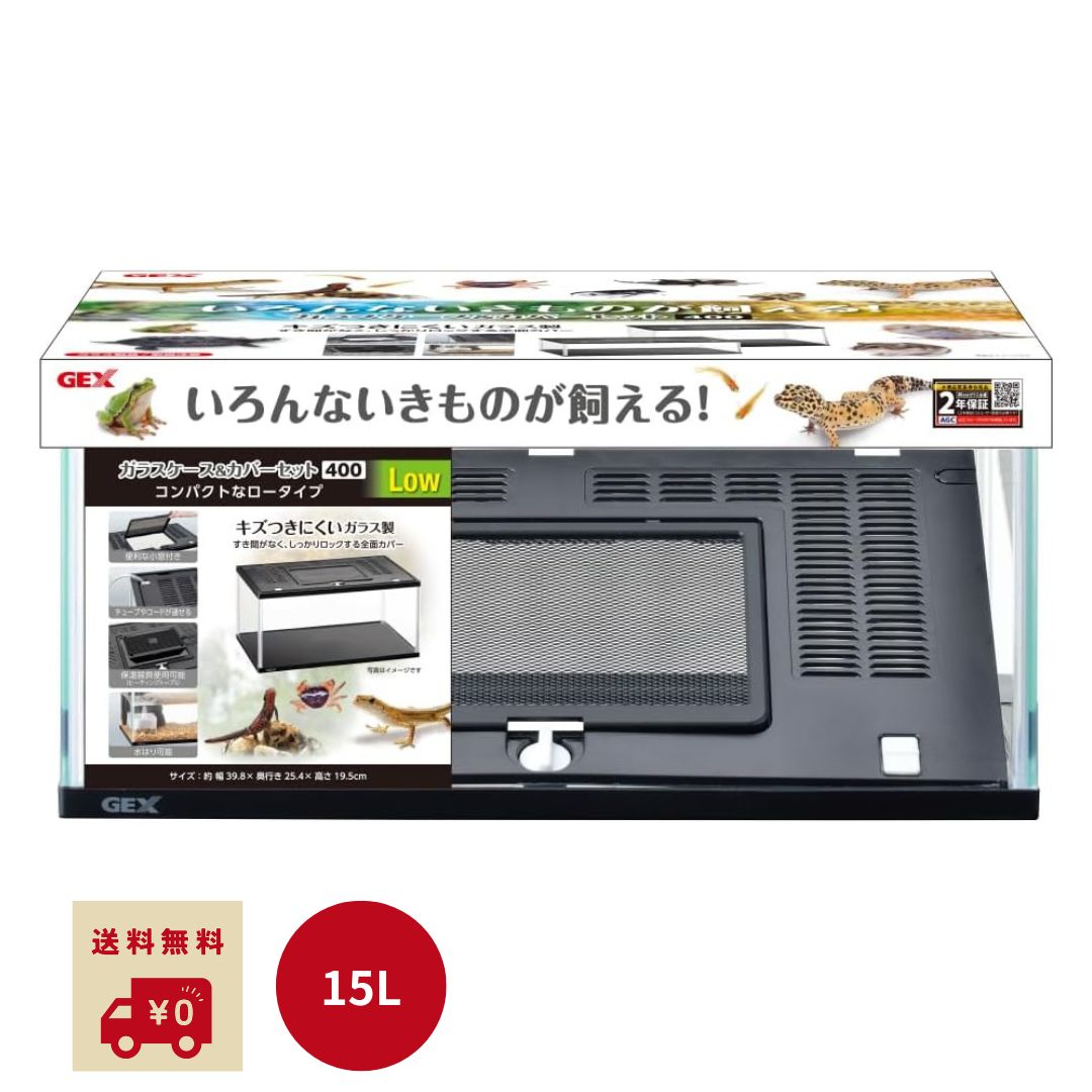 エビの置物 ガラスケース エビ ガラス細工 ミニチュア 雑貨 海の生き物 グラススクエア