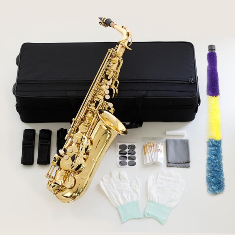 SELVA 初心者向けアルトサックス入門セット セルバ Amazon | SELVA/初心者向けアルトサックス入門セット Alto Sax
