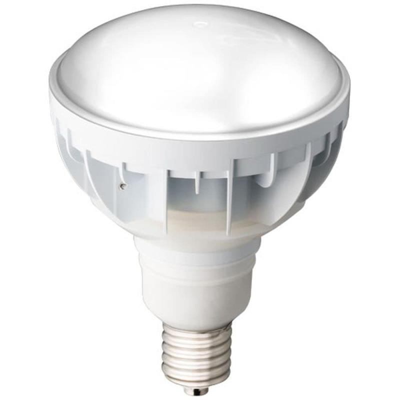 岩崎電気 ＬＥＤアイランプ５０Ｗ 本体白（昼白色） LDR50N-H-E39/W750