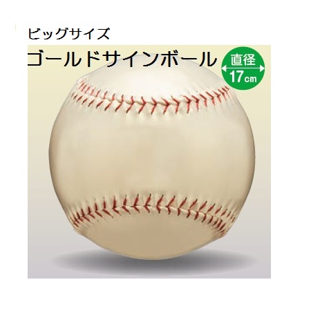 名古屋オーシャンズゴールデンサインボール サインボール（MIZUNO）（2023110049）｜北海道コンサドーレ札幌