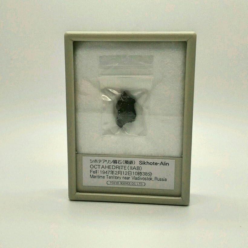 楽天市場】いん石を持ち歩こう☆星に願いを お守りストラップ1576年