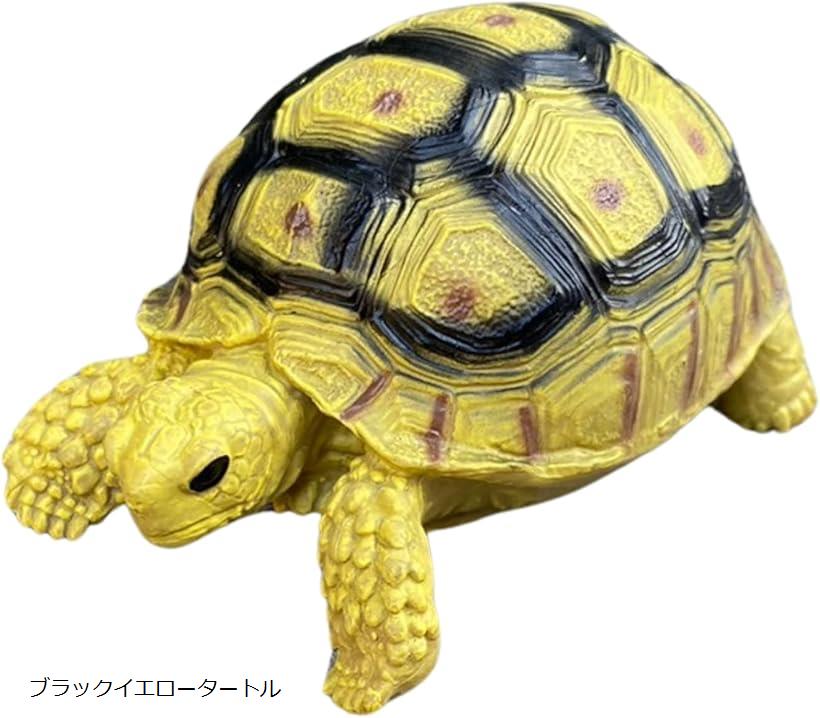 楽天市場】カメ 置物 ビッグザイズ 大きくてリアルな亀の置物 爬虫類