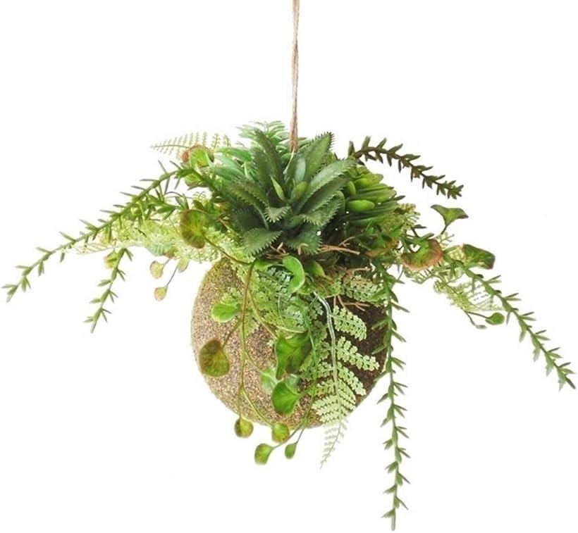 超美品56goro 国産モジャマトフィラム 観葉植物 吊り下げ 約60~70㎝ 楽天市場】国産 超美品56goro モジャマトフィラム 観葉植物 吊り