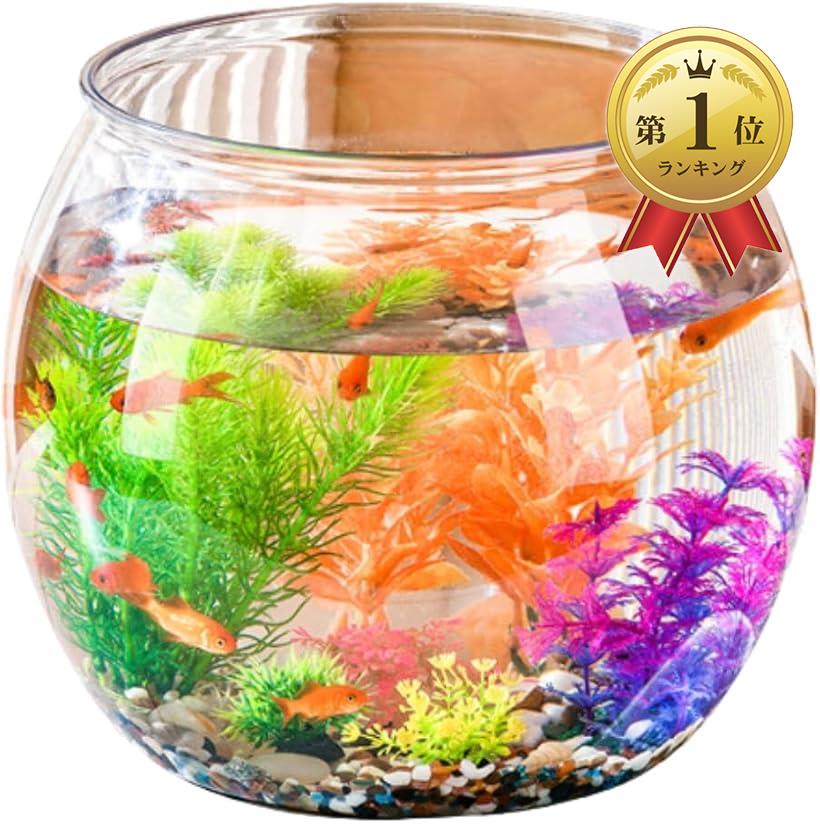 楽天市場】金魚鉢 金魚 水槽 メダカ 鉢 容器 飼育 アクリル