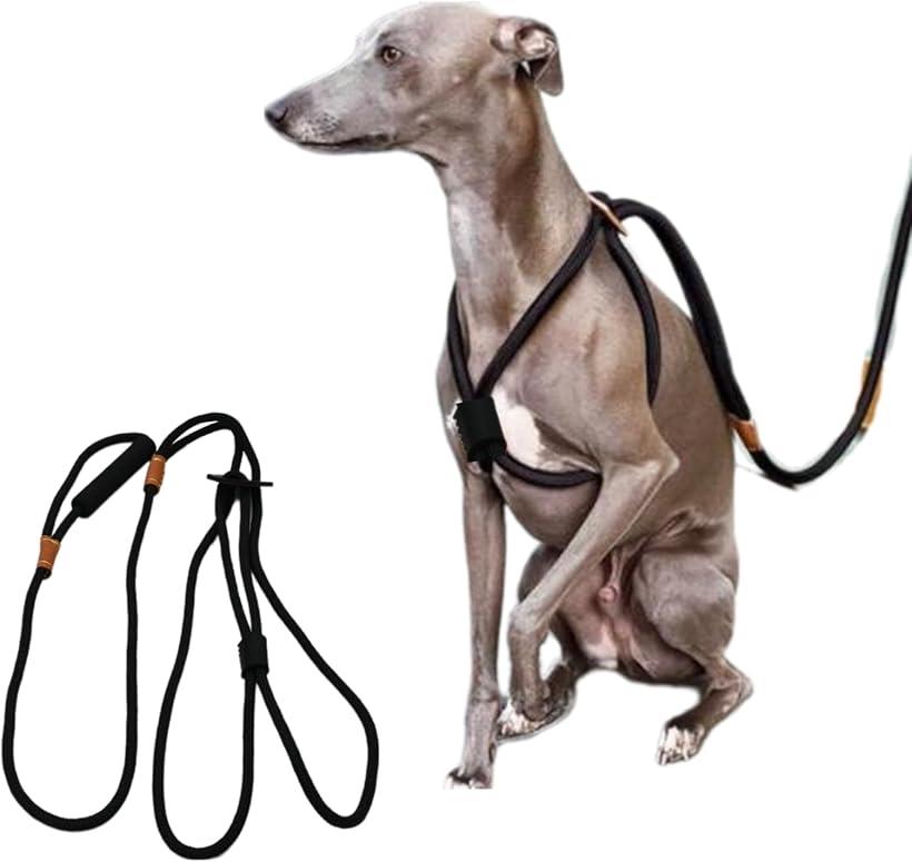 abu 犬用オールインワンハーネスSサイズ　ブルー　デコピン愛用 abu 犬用オールインワンハーネスSサイズ ブルー デコピン愛用