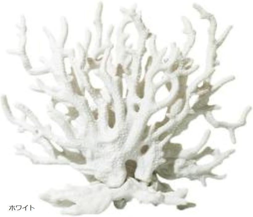 楽天市場】サンゴ 珊瑚 礁 アクアリウム 水槽オブジェ 人工珊瑚