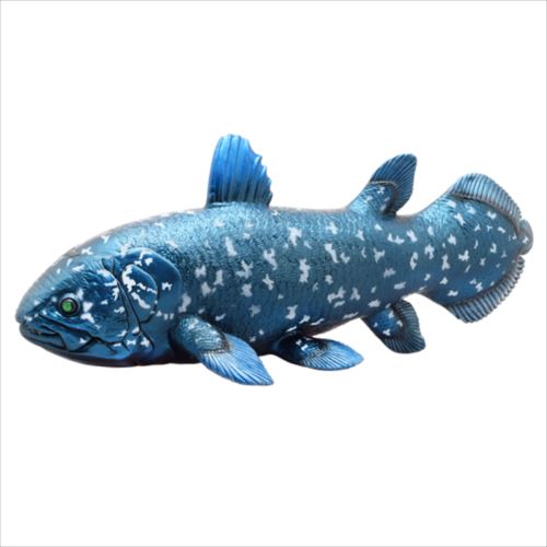 ハンドメイド　34cmポリプテルス 魚模型　フィギュア　レプリカ　置物　古代魚 楽天市場】フェバリット 古代魚フィギュアエンシェント