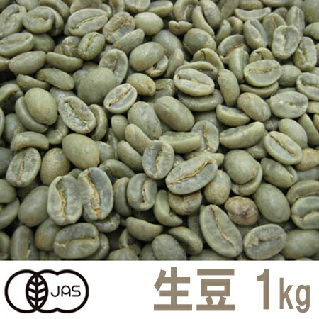 送料無料】 コーヒー生豆 ブラジル サントス No.2 S18 5kg | 生