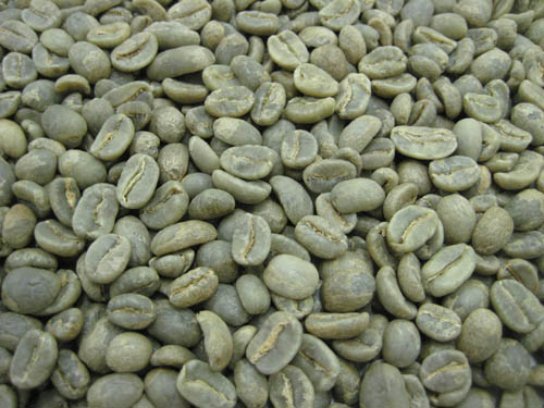 コーヒー生豆 コロンビア エクセルソ 10kg （三本珈琲 三本コーヒー） ※沖縄県は別途送料がかかります【生豆】