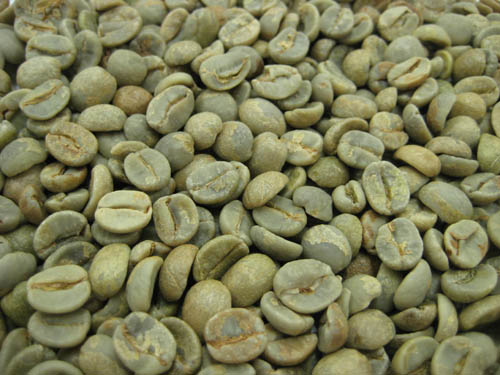 楽天市場】コーヒー生豆 ブラジル サントス No.2 S18 5kg （三本珈琲