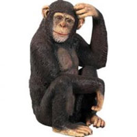 チンパンジー / Chimpanzee fr110026mmis 新生活 インテリア|mmis エムエムインテリアスペース