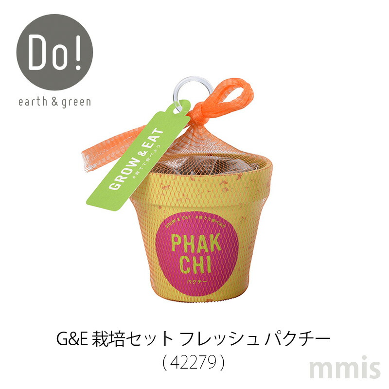 野菜栽培セットge 栽培セットフレッシュ パクチーコリアンダー 香菜 室内 ベランダ 庭 エコポット春のお庭グッズmmisオススメ 大きな取引