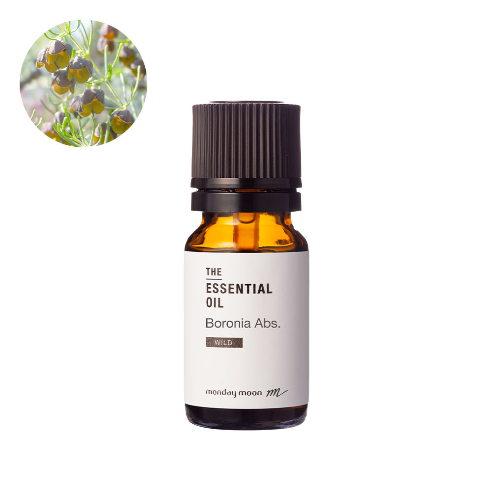 【10%OFF大売り出し】ボロニア・アブソリュート・自然状態種／10ml アロマオイル 芳ばしさ 100% 無加えること エッセンシャルオイル 揮発油 一般受け 精油アロマテラピー 手作り コスメ かざり付ける品 石けん 石ケン 原料品 原料品 原料品 フローラル系 カンキツ類系 フルーティー