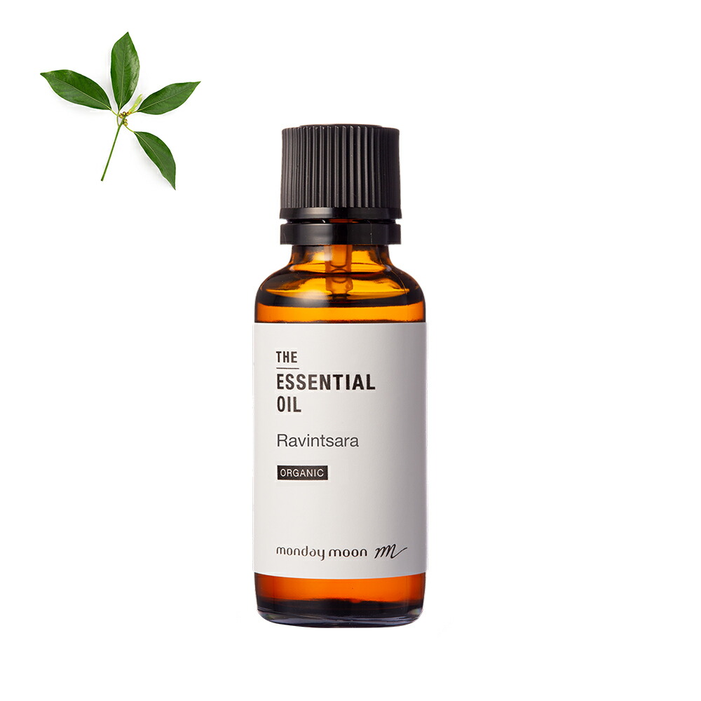 楽天市場】【今だけP10倍】カメリアブロッサム・アブソリュート