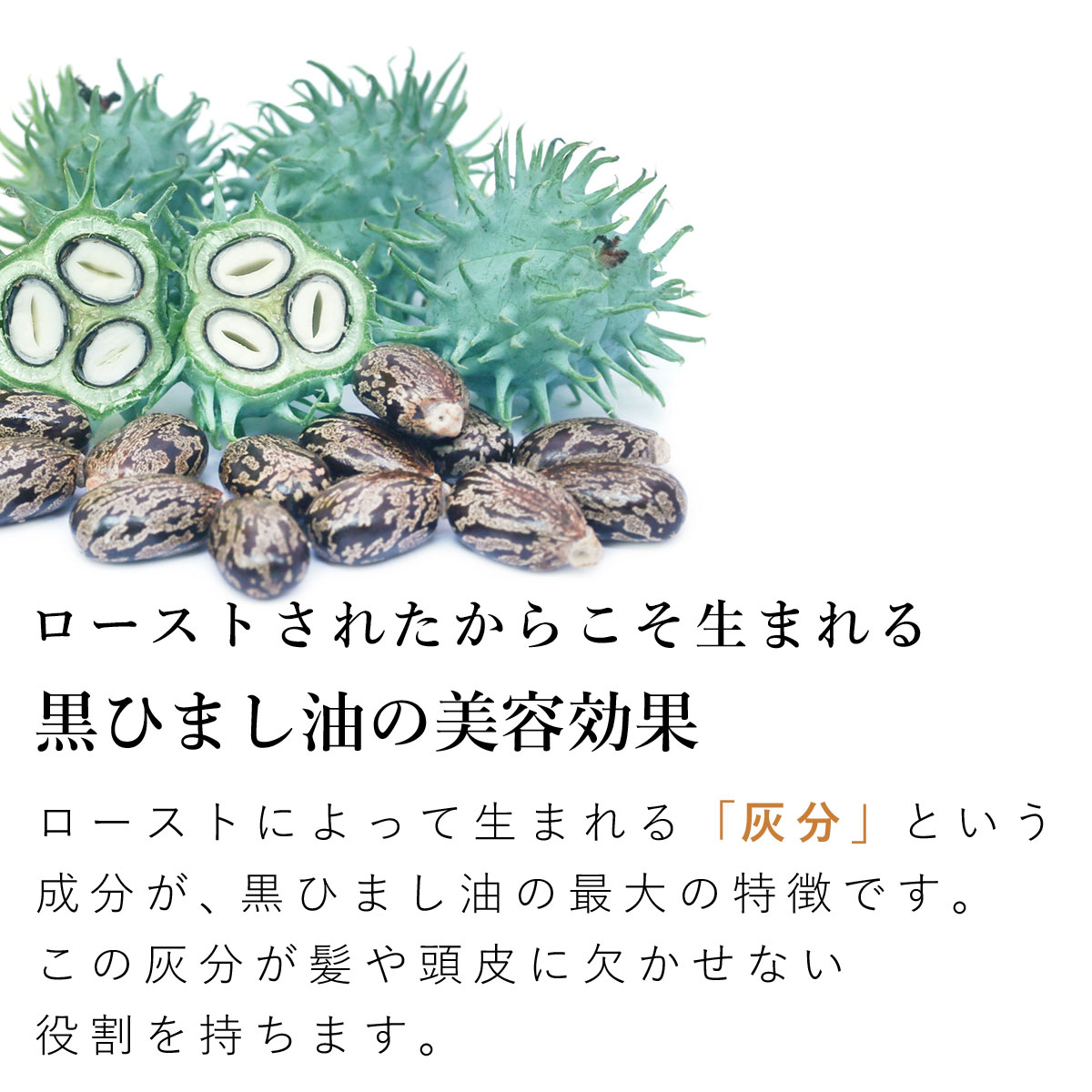 ディスカウント 黒ひまし油 未精製 オーガニック ブラックキャスターオイル 1000ml fucoa.cl