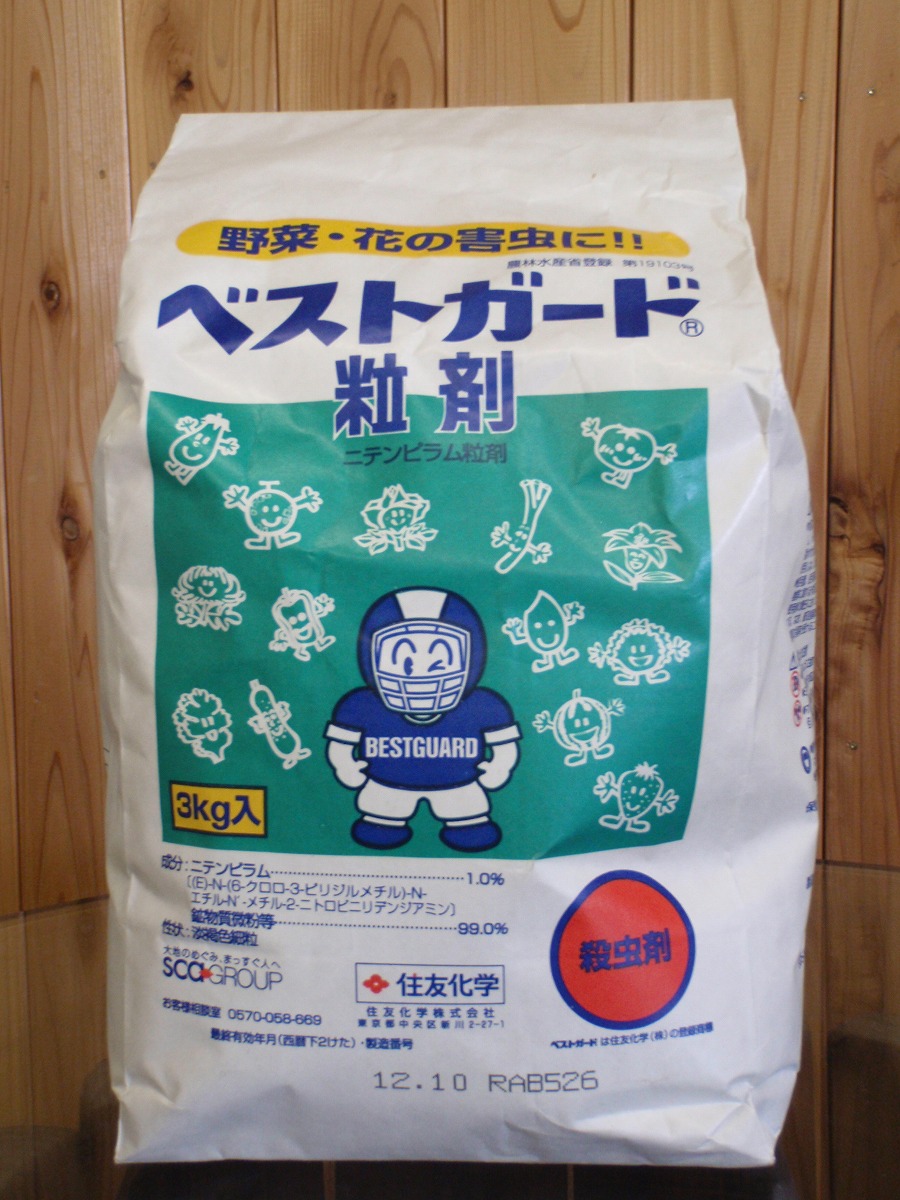 まとめ買いがお得！大人気ブロッコリーコート種子【おはよう】5000粒 楽天市場】ブロッコリー おはよう 2000粒 (株)サカタのタネ