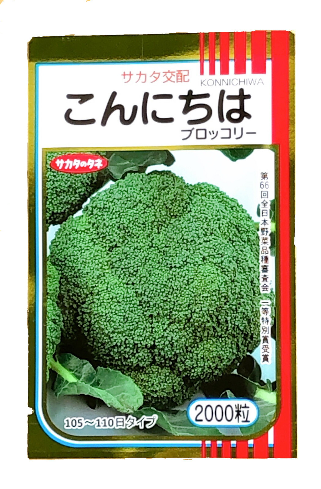 野菜の種 種子 ピクセル 種苗 ブロッコリー ペレット5000粒（大袋