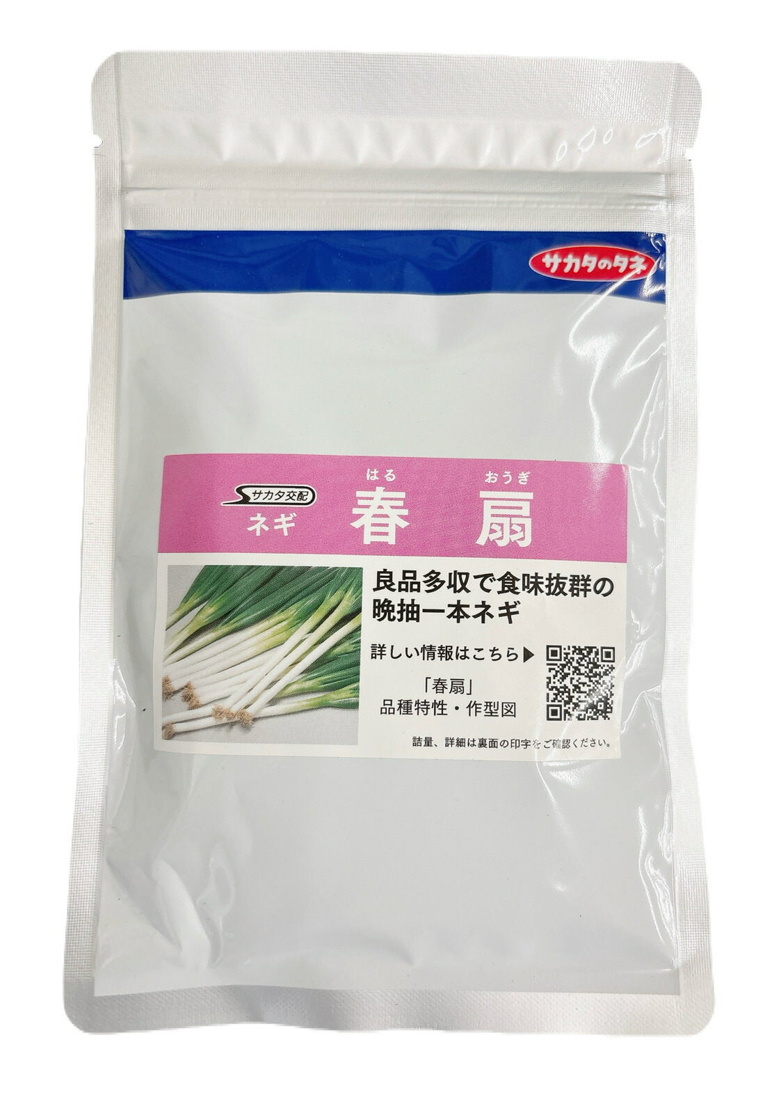 楽天市場】冬扇3号 6000粒 ねぎ コート種子 : 農家の店 エムエム