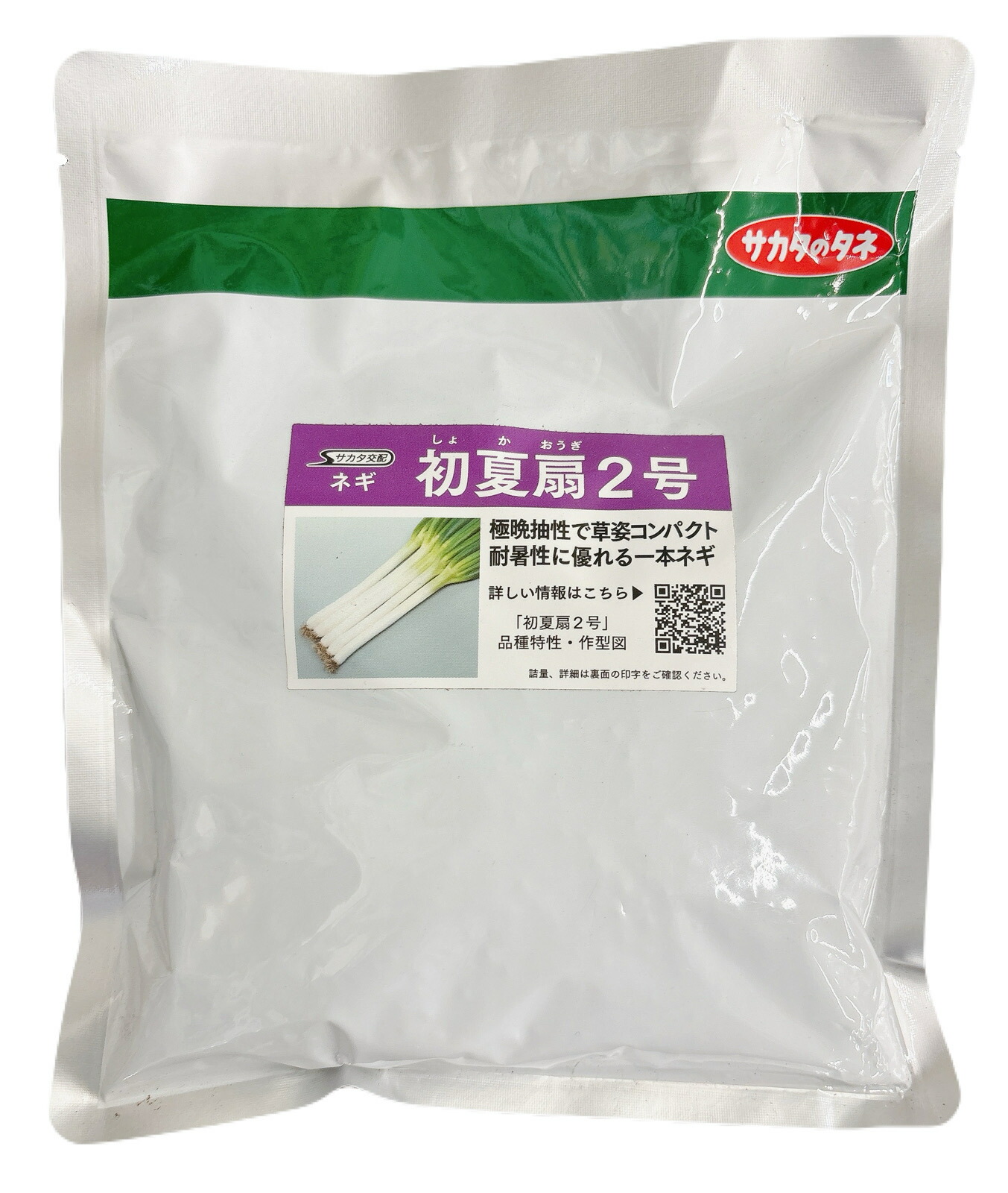ネギ　冬扇シオン　6000粒　3袋　有効期限９月 ネギ 冬扇シオン 6000粒 3袋 有効期限9月 ネギ】冬扇シオン