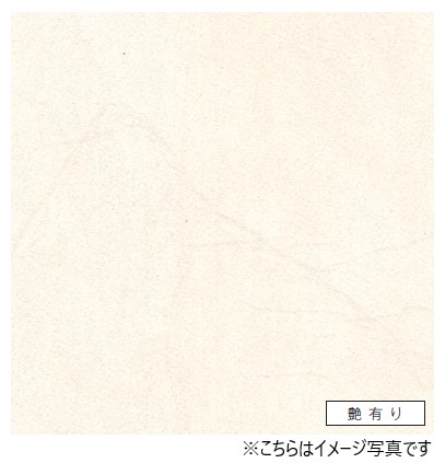 SNSで話題 あす楽対応  【MZQ1454D7US】 限定デザイン
