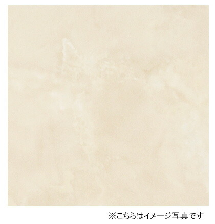 圧倒的人気  【MISJ011C02R】 限定デザイン