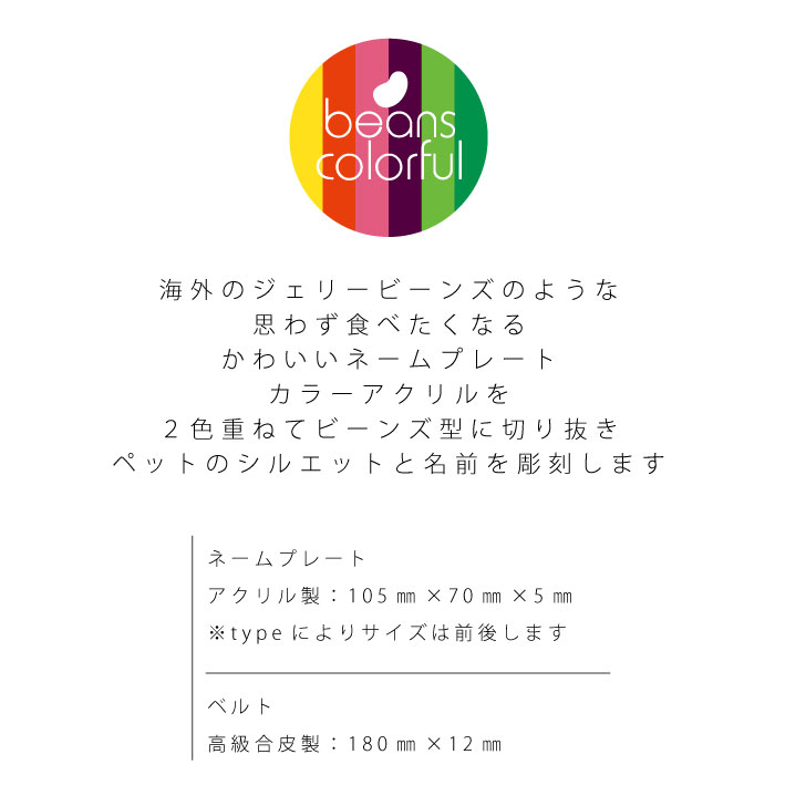 ゴルフネームプレート【シャルトリュー】ネームタグビーンズカラフル女性用レディースゴルフバッグgolfネームキーホルダー名札彫刻プレゼント名入れギフトおしゃれ記念名前オーダーメイドペット