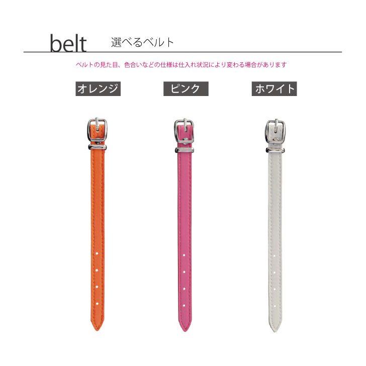 ゴルフネームプレート【シャルトリュー】ネームタグビーンズカラフル女性用レディースゴルフバッグgolfネームキーホルダー名札彫刻プレゼント名入れギフトおしゃれ記念名前オーダーメイドペット