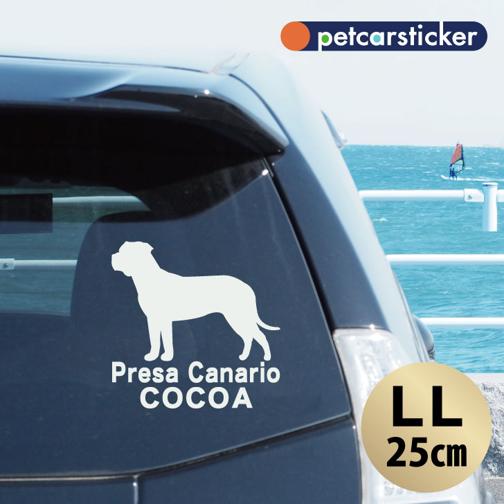車 ステッカー かわいい シンプル カーステッカー カッティングシート グッズ プレゼント シール 犬 可愛い 名前 転写式