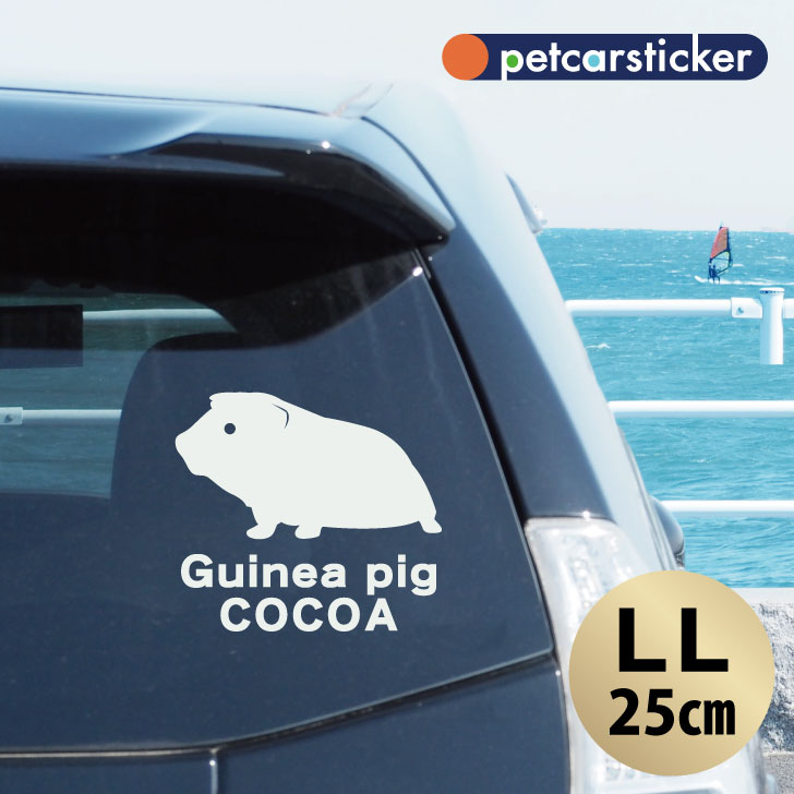 楽天市場 送料無料 車 ステッカー モルモット Llサイズ かわいい シンプル カーステッカー カッティングシート グッズ プレゼント おしゃれ オーダーメイド 名前 シール 可愛い 転写式 小動物 Mo U Ra