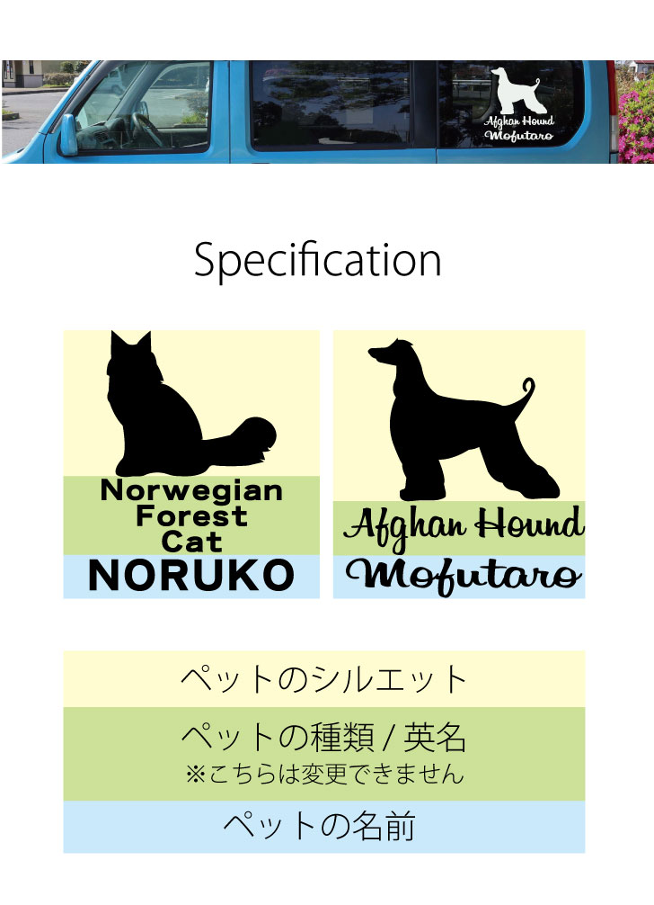 車ステッカー【シャルトリュー】【送料無料】Lサイズミラーかわいいペット猫グッズプレゼントオシャレ映え映えるギフト人気アクリル壁掛け軽量頑丈シンプルメイクアップ取り付け簡単化粧台用玄関