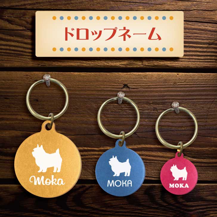 迷子札 ドロップネーム 名入れ グッズ ペット 名札 軽量 極小 軽い ネームタグ かわいい おしゃれ 首輪 犬