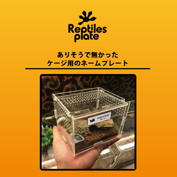送料無料 レプタイルズ プレート Sサイズ 銘板 名札 ネームプレート レプタイルボックス ケージ 水槽 ケース 爬虫類 両生類 小動物 鳥類 昆虫 アクアリウム テラリウム パルダリウム エキゾチックアニマル