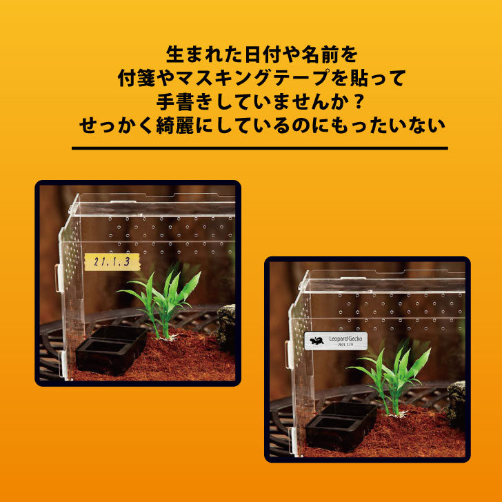 送料無料 レプタイルズ プレート Sサイズ 銘板 名札 ネームプレート レプタイルボックス ケージ 水槽 ケース 爬虫類 両生類 小動物 鳥類 昆虫 アクアリウム テラリウム パルダリウム エキゾチックアニマル