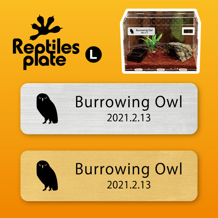 楽天市場 送料無料 レプタイルズ プレート Lサイズ アナホリフクロウ ケージ 水槽 レプタイルボックス 虫かご用 銘板 名札 ネームプレート パルダリウム テラリウム アクアリウム フクロウ Mo U Ra