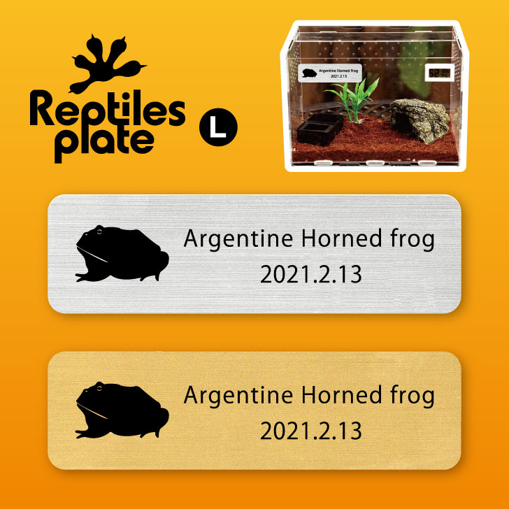 楽天市場】レプタイルズ プレート L 【 ヒキガエル 】ケージ 水槽