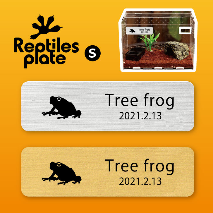 楽天市場】レプタイルズ プレート L 【 アマガエル 】ケージ 水槽