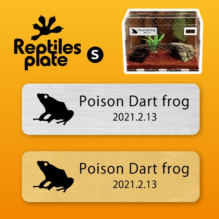 楽天市場】レプタイルズ プレート L 【 ヤドクガエル 】ケージ 水槽