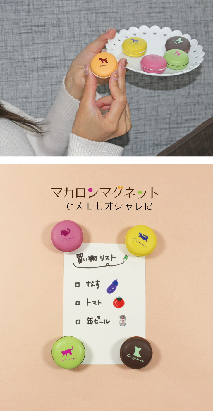 楽天市場 送料無料 マカロンマグネット チワプー 5個セット かわいい ペット マカロン型 マグネット お返し プレゼント ギフト グッズ ご褒美 名入れ オーダーメイド うちの子 犬 Mo U Ra